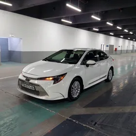 Toyota Corolla 2020