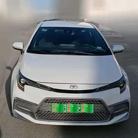 Toyota Corolla 2019