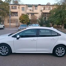 Toyota Corolla 2021