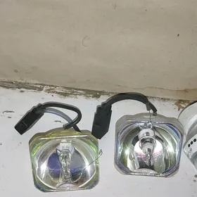 lampa proektor