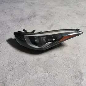 Cep tarap Fara Elantra