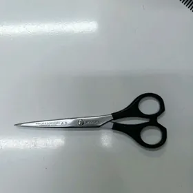 gayçy