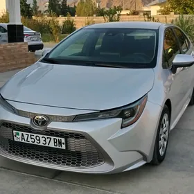 Toyota Corolla 2020