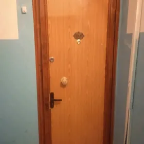 daşky agaç gapy
