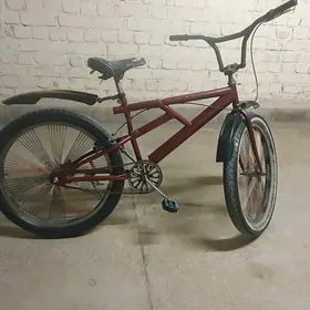 26lyk tigir