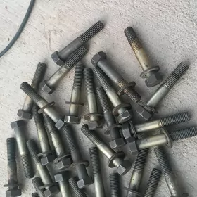 Bolt gayka