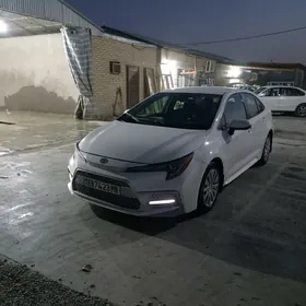 Toyota Corolla 2022