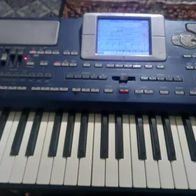 korg pa 800