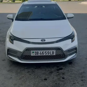 Toyota Corolla 2019