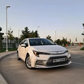 Toyota Corolla 2020