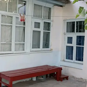 satlyk jay