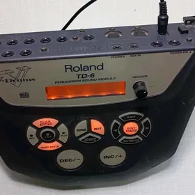 Roland Pultlar TD 6 ve TD 4