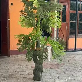 Palma bag