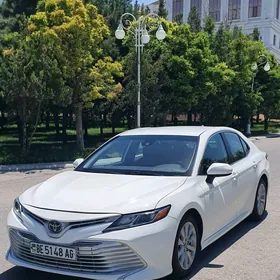 Toyota Camry 2019