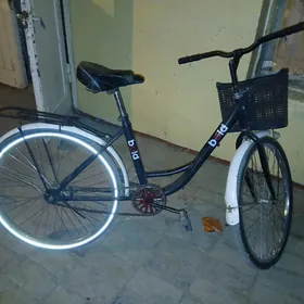 500 Tigir