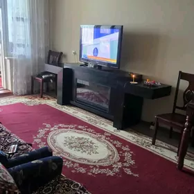 Mir 2 Arenda 2 kom