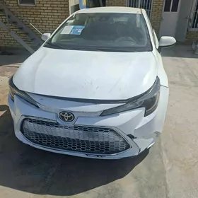 Toyota Corolla 2020