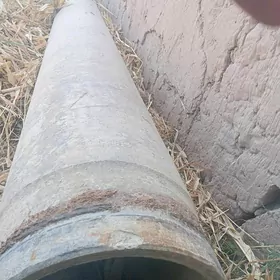 turba agac demir ugry