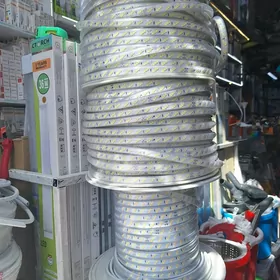 led cyra lenta