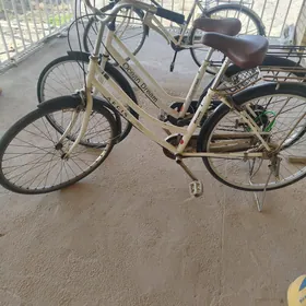 Welik 26lyk