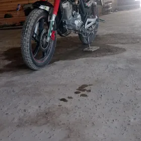 Fekon FK150-8G 2014