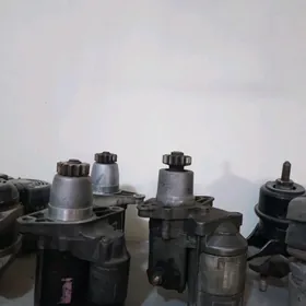 статер морда