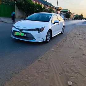Toyota Corolla 2019
