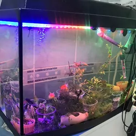 akwaryum zawodskoy 100L