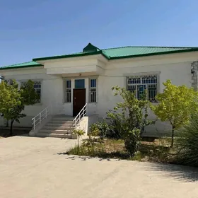 Taze zaman pylan jay