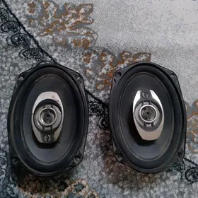 1000lik Pioneer kalonka