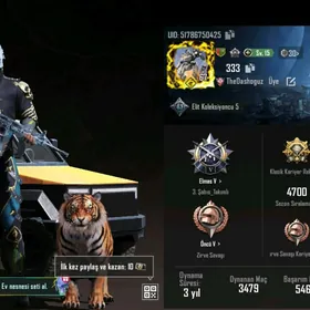 pubg acaaunt