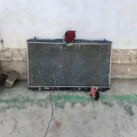 Kemri 2017 radyator