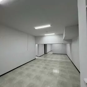 mir8 podwal arenda