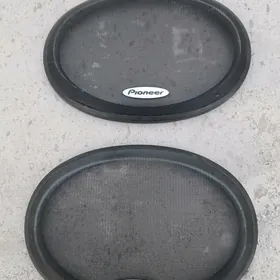 Pioner kalonka setka