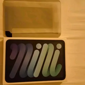 iPad mini 7
