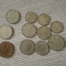 монета
