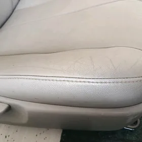 okuz kemri koja sidenya morda