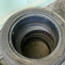 Sportex tekerler