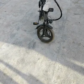 Tokly  tigir