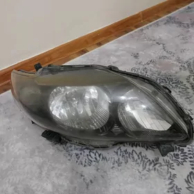 carolla cyra.fara.