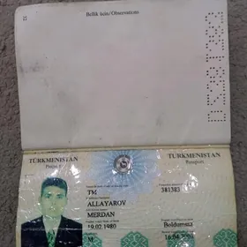 Pasport Tapdym