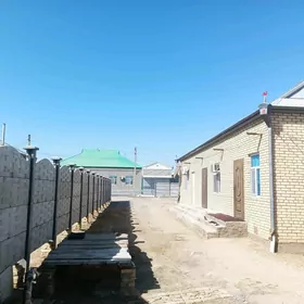 satlyk jaý murgap
