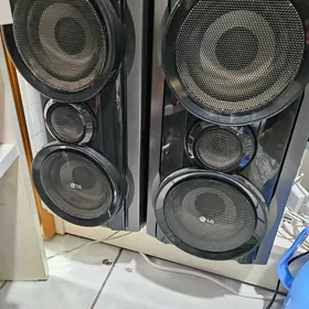 Lg sentir