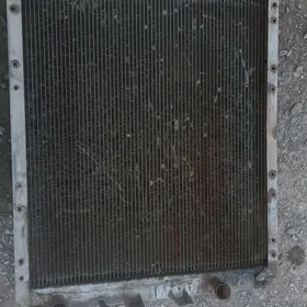 Maz radiator