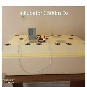 INKUBATOR ZOLUSKA (Золушка)