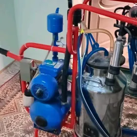 Süýt sagýan aparat