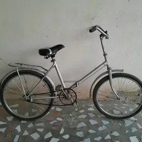 Salut Velsapet