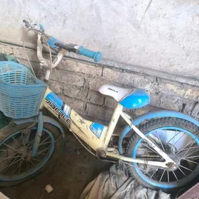welsapet
