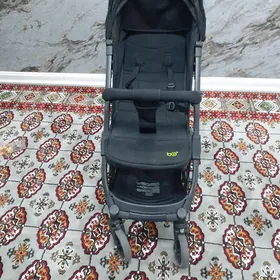 caga kalyaska