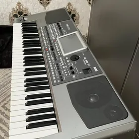 Korg Pa-900